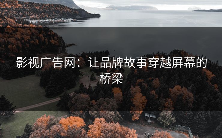 影视广告网：让品牌故事穿越屏幕的桥梁