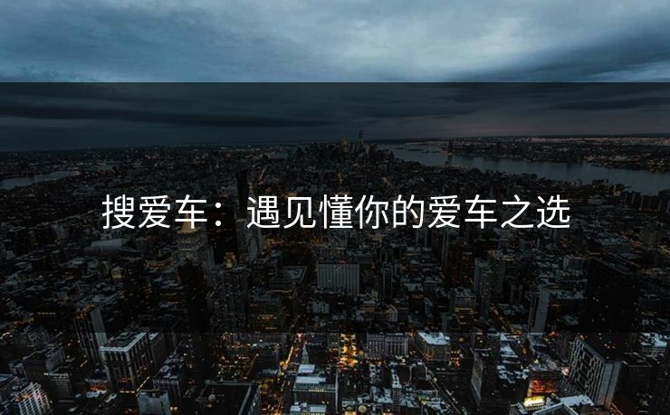 搜爱车：遇见懂你的爱车之选